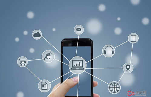 一站式企业服务 开启新征程，鱼爪网带你探索不一样的互联网信息服务